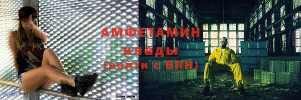 СК Алексин