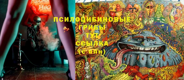 СК Алексин