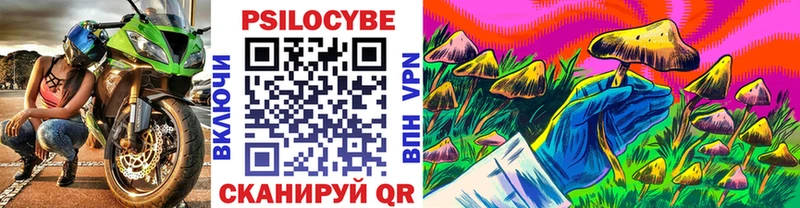 нарко площадка формула  Елизаветинская  Галлюциногенные грибы Psilocybe  купить  сайты 